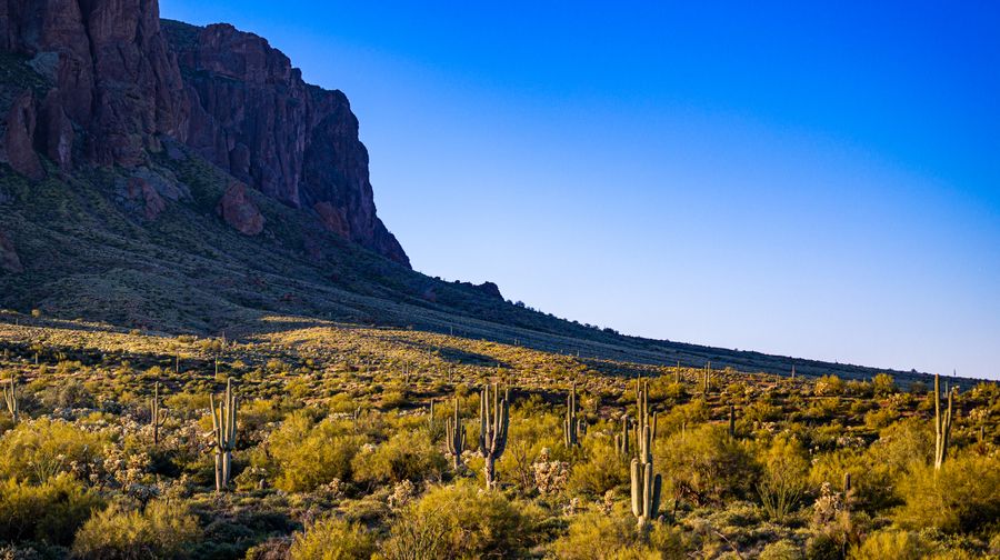 High desert landscape with saguaro cacti near Chino Valley, AZ