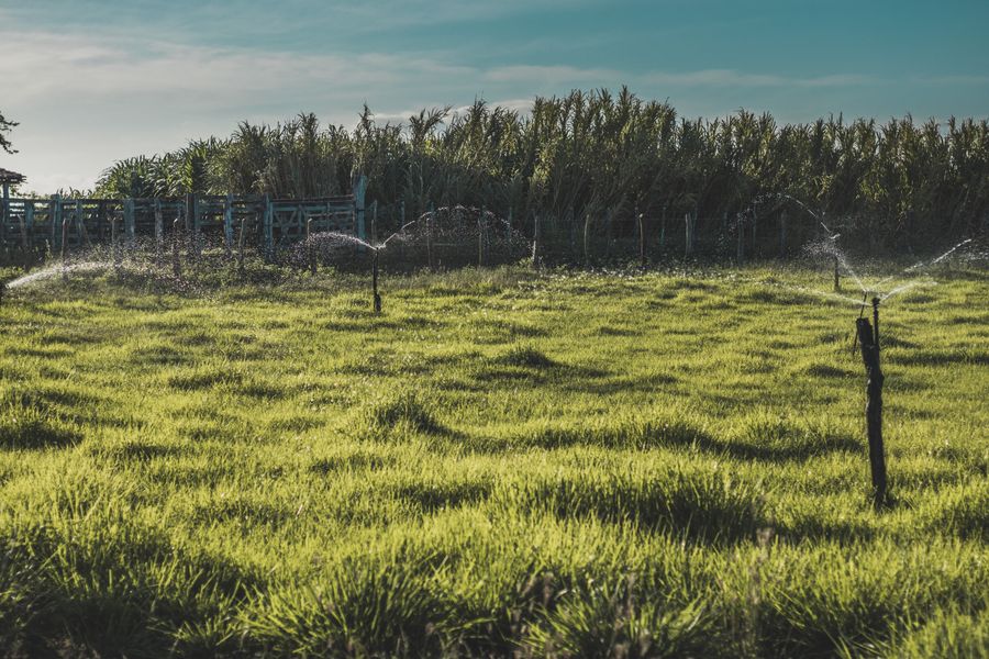 Irrigation sprinklers watering a green landscape in Arizona