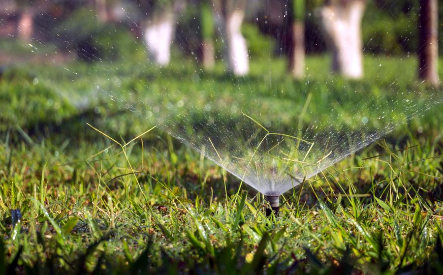 Lawn sprinkler watering grass in Prescott, AZ